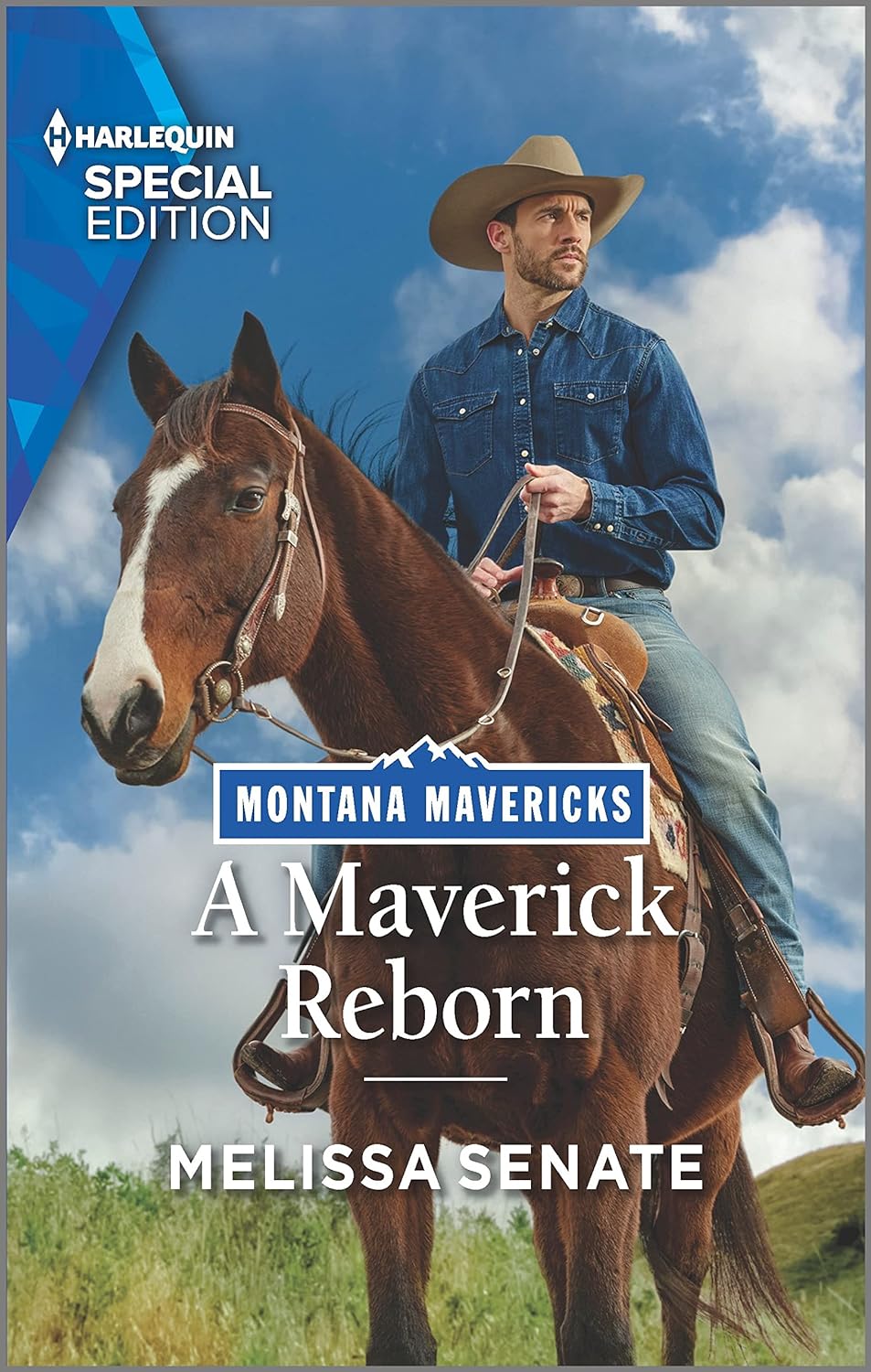 Montana Mavericks